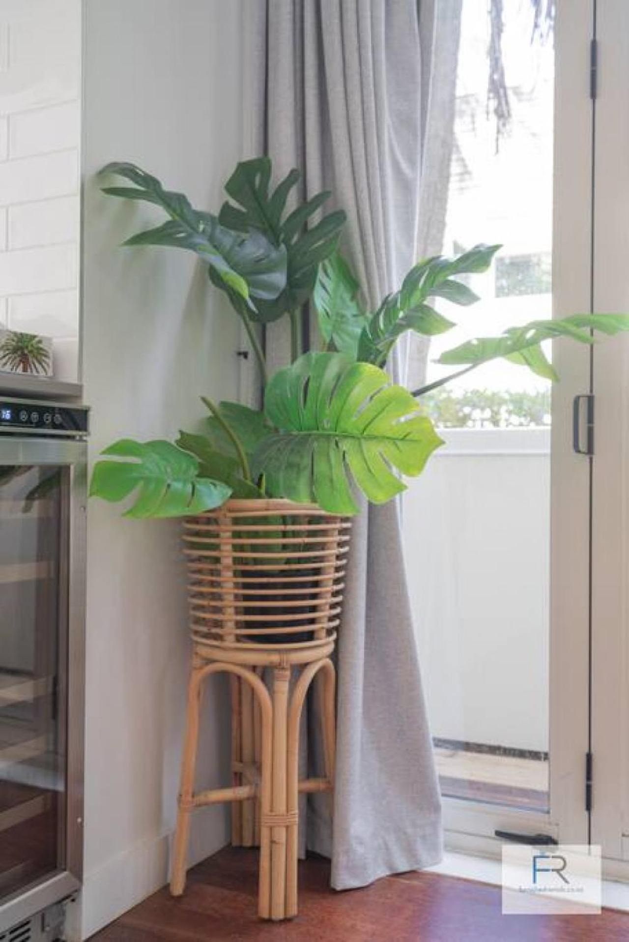 הוילה אוקלנד Chic Parnell Townhouse מראה חיצוני תמונה